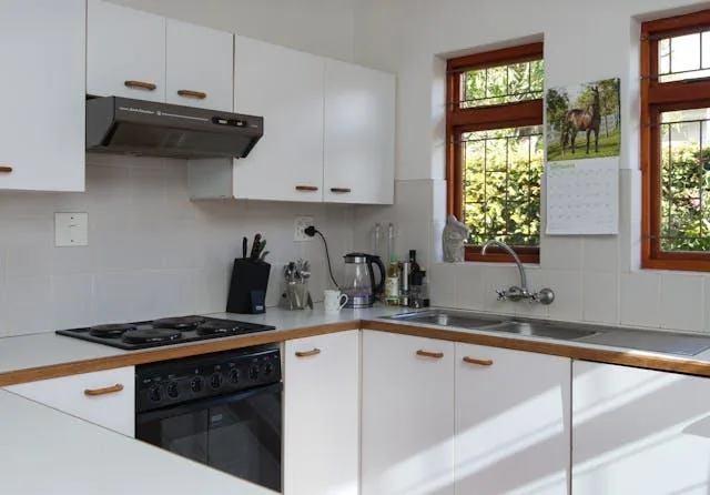 Kitchen with white cupboards and brown trim in a Laguna Beach rental property